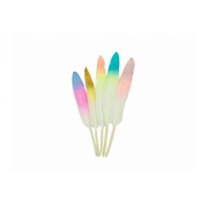 Piórka dekoracyjne ombre mix 13,5 cm - zestaw 10 sztuk naturalnych kolorowych piór do projektów DIY.