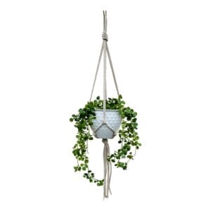 Kwietnik Makrama Boho Jasny Beż Ręcznie Wykonany 75 cm Bawełniany Beżowy kwietnik makrama ręcznie wykonany z bawełnianego sznurka o długości 75 cm z wiszącą doniczką pełną zielonych roślin.