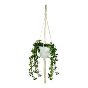 Kwietnik Makrama Boho Ręcznie Robiony Bawełniany 75 cm Kość Słoniowa Bawełniany kwietnik makrama w kolorze kości słoniowej o długości 75 cm z wiszącą zieloną rośliną w białej doniczce.