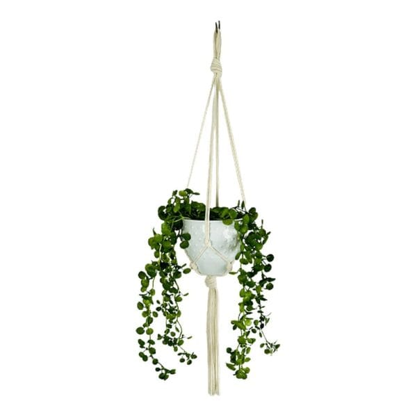 Kwietnik Makrama Boho Ręcznie Robiony Bawełniany 75 cm Kość Słoniowa Bawełniany kwietnik makrama w kolorze kości słoniowej o długości 75 cm z wiszącą zieloną rośliną w białej doniczce.