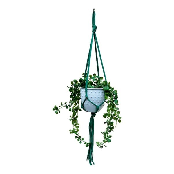 Kwietnik Wiszący Makrama Bawełniany Zielony Boho 75 cm Zielony kwietnik wiszący makrama boho o długości 75 cm z bawełnianego sznurka, prezentujący wiszącą roślinę w doniczce.