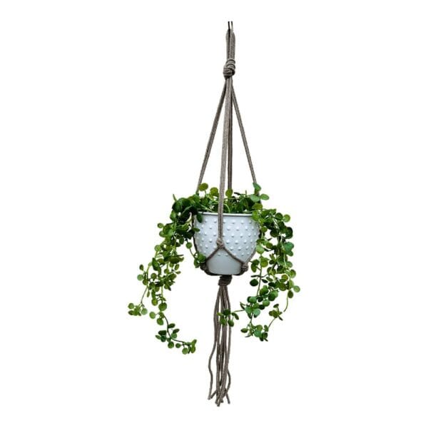 Kwietnik Wiszący Makrama Boho Ciemny Beż Ręcznie Wykonany Bawełniany Sznurek 5 mm - zdjęcie 1 Kwietnik wiszący makrama boho ciemny beż z bawełnianego sznurka podtrzymuje białą doniczkę z rośliną.