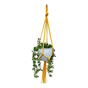 Kwietnik Wiszący Makrama Boho Żółty Bawełniany Sznurek 5 mm Żółty kwietnik wiszący makrama z bawełnianego sznurka z białą doniczką i zwisającą rośliną.