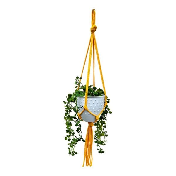 Kwietnik Wiszący Makrama Boho Żółty Bawełniany Sznurek 5 mm Żółty kwietnik wiszący makrama z bawełnianego sznurka z białą doniczką i zwisającą rośliną.