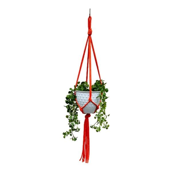 Pomarańczowy kwietnik wiszący makrama boho o długości 75 cm z zieloną rośliną w doniczce.